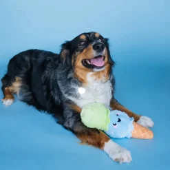 Bundle x Joy Ice Cream Cone Crinkle & Squeak Dog Toy