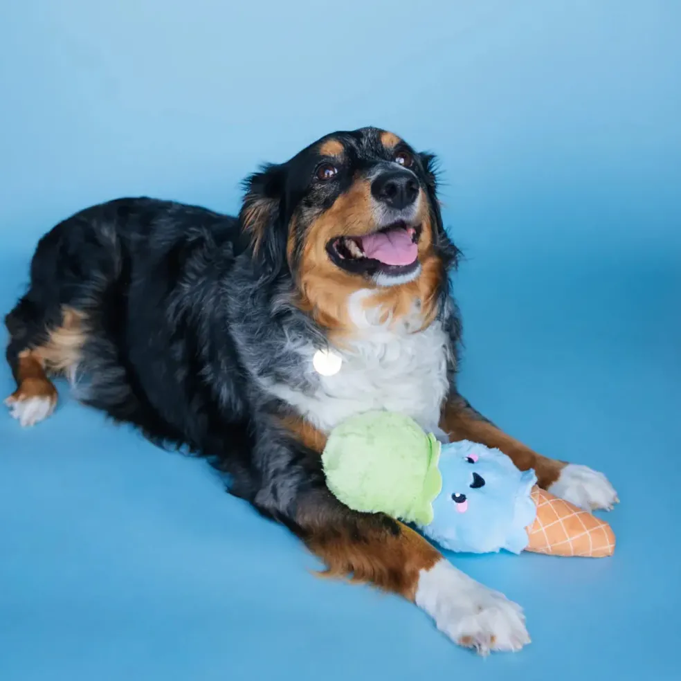 Bundle x Joy Ice Cream Cone Crinkle & Squeak Dog Toy