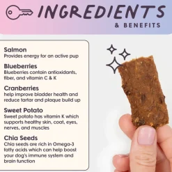 Bundle x Joy Salmon Superfood Jerky Bars for Dogs