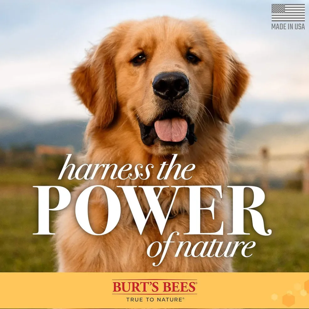 Burt's Bees Deodorizing Spray with Apple & Rosemary for Dogs, 10-oz