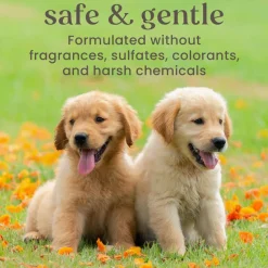 Burt's Bees Itch Soothing Spray with Honeysuckle for Dogs, 10-oz