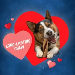 Busy Beggin' Twist'D! Long-Lasting Chew Small & Medium Dog Treat