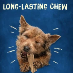 Busy Bone Mini Long Lasting Chew Dog Treats