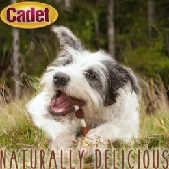 Cadet Gourmet Beef Hide Shish Kabob Dog Treats