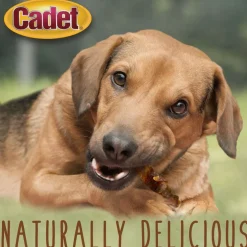 Cadet Gourmet Chicken-Wrapped Sweet Potato Treats for Dogs (14 oz)
