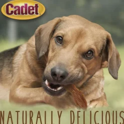 Cadet Gourmet Duck Breast Treats for Dogs