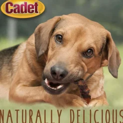 Cadet Gourmet Sweet Potato & Duck Wrapped Treats for Dogs
