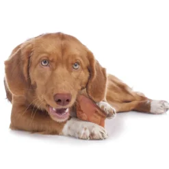 Cadet Natural Pig Ears for Dogs (12 ct)