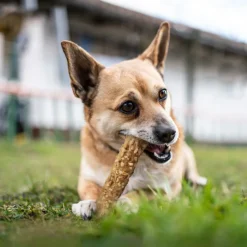 Cadet Smart Hide Rawhide Free Dog Chews (2 ct)