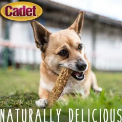 Cadet Smart Hide Rawhide Free Dog Chews (2 ct)