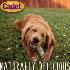 Cadet Smart Hide Rawhide Free Dog Chews (2 ct)