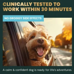 Calm & Confident Chews Bacon Flavor for Dogs