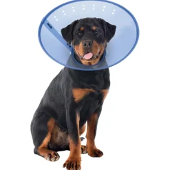 Calm Paws Calming E-Collar for Dogs