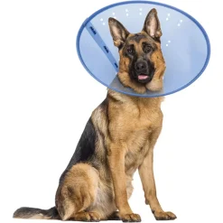 Calm Paws Calming E-Collar for Dogs