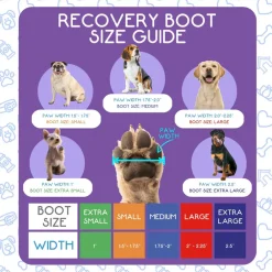 Calm Paws Recovery Dog Boot