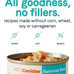 CANIDAE Balanced Bowl Chicken & Pumpkin Recipe in Gravy Wet Cat Food, 3-oz can, case of 24