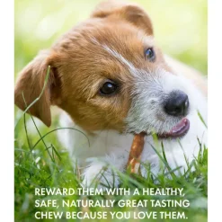 Canine Naturals Hide Free Peanut Butter Flavor Sticks Treats For Dogs