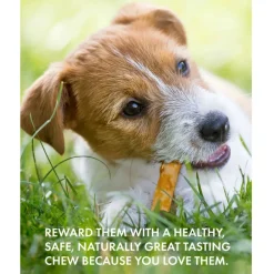 Canine Naturals RawHide-Free Chicken Recipe Rolls Dog Treats (2 Medium Rolls)