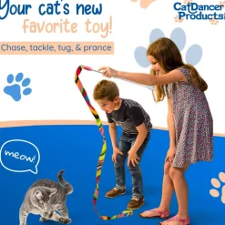 Cat Dancer Charmer Toy For Cats, Color Varies