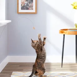 Cat Dancer Deluxe Interactive Toy for Cats