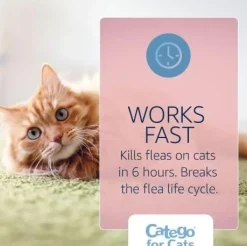Catego Flea & Tick Spot Treatment for Cats over 1.5 lbs