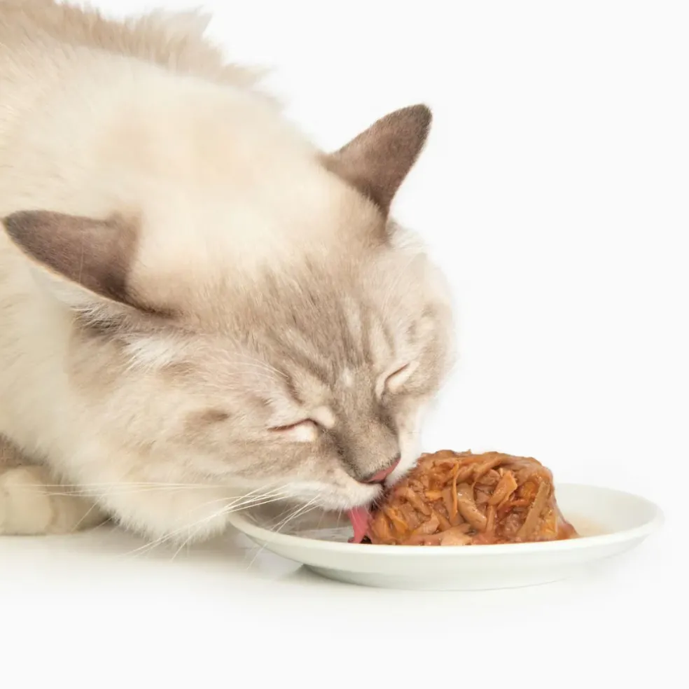Catit Chicken Dinner with Liver & Sweet Potato Wet Cat Food (2.8 oz)