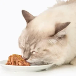 Catit Dinner Variety Pack Grain-Free Fish Wet Cat Food Topper (2.6 oz Can, Case of 12)