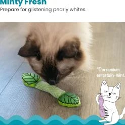Catstages Fresh Breath Mint Stick Cat Dental Chew Toy