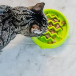 Catstages Kitty Slow Feeder, Green