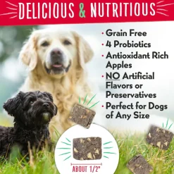 Charlee Bear Meaty Bites Dog Treats (2.25 oz)