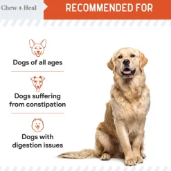 Chew + Heal Organic Pumpkin Digestive Defense Superfood Blend Powder Digestive Aid Supplement for Dogs