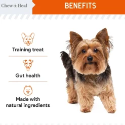 Chew + Heal Pumpkin & Prebiotic Fiber Crunchy Biscuit Dog Treats