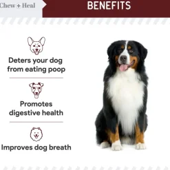 Chew + Heal Stop the Poo Chew Coprophagia Supplement for Dogs- Savory Lamb Flavor (120 Count)