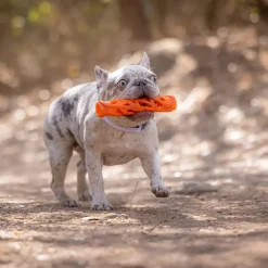 Chuckit! Air Fetch Stick Toy For Dogs - Large
