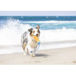 Chuckit! Amphibious Bumper Fetch & Float Dog Toy (Color Varies)