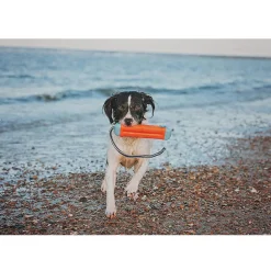 Chuckit! Amphibious Bumper Fetch & Float Dog Toy (Color Varies)