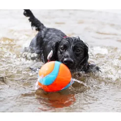 Chuckit! Amphibious Mega Ball Toy For Dogs