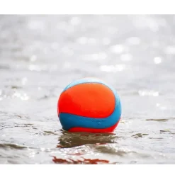 Chuckit! Amphibious Mega Ball Toy For Dogs