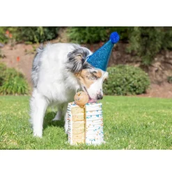 Chuckit! Birthday Fetch Ball Toy For Dog - Medium (Multi Color)
