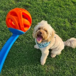 Chuckit! Breathe Air Fetch Ball Toy For Dogs