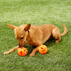 Chuckit! Breathe Air Fetch Ball Toy For Dogs