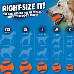 Chuckit! Bucket with 8 Medium Balls Toy For Dogs -Ultra