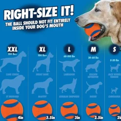 Chuckit! Classic Ball Launcher Toy For Dogs- 26M (color varies)