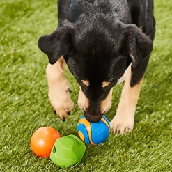 Chuckit! Fetch Medley Variety Triple Pack, Medium