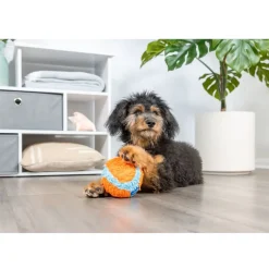 ChuckIt! Indoor Ball Toy For Dogs