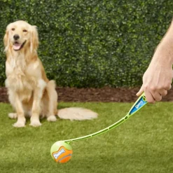 Chuckit! Junior Ball Launcher Toy For Dogs (color varies)
