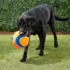 Chuckit! Kick Fetch Ball Toy For Dog- Large
