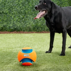 Chuckit! Kick Fetch Ball Toy For Dog- Large