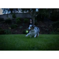 Chuckit! Max Glow Ultra Squeaker Ball Toy For Dogs - Medium
