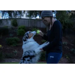 Chuckit! Max Glow Ultra Squeaker Ball Toy For Dogs - Medium